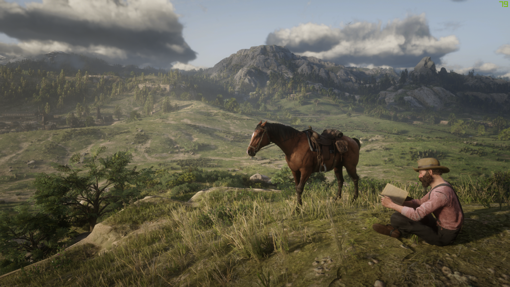 Детали Red Dead Redemption 2