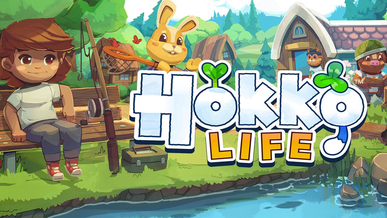 Обзор Hokko Life