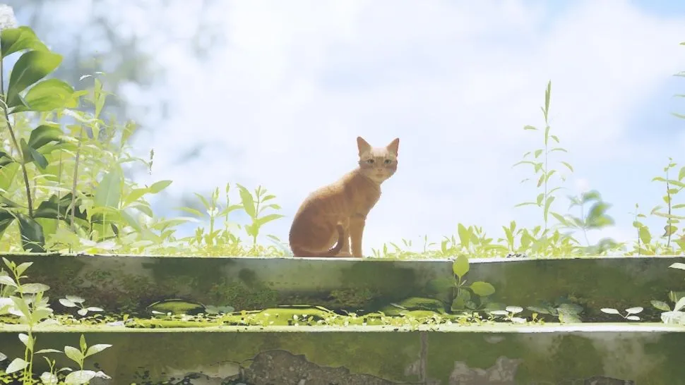 Stray: как разблокировать комнату управления