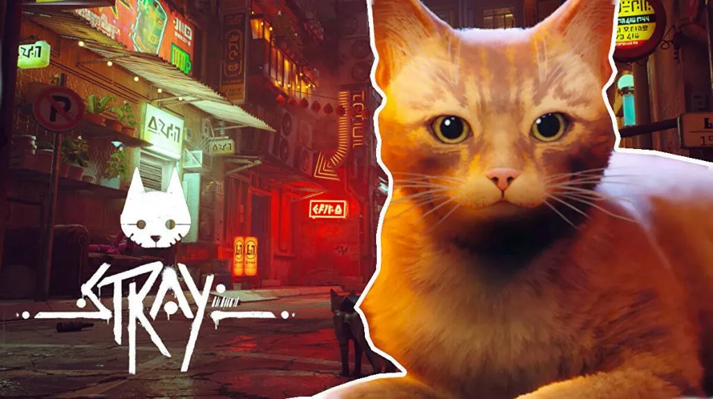 Обзор Stray